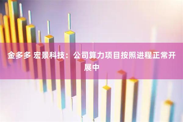 金多多 宏景科技：公司算力项目按照进程正常开展中