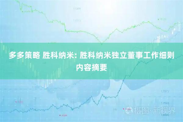 多多策略 胜科纳米: 胜科纳米独立董事工作细则内容摘要