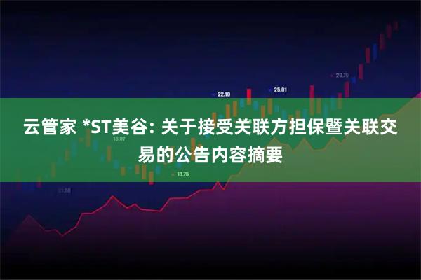 云管家 *ST美谷: 关于接受关联方担保暨关联交易的公告内容摘要
